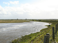 Baie des Veys polders