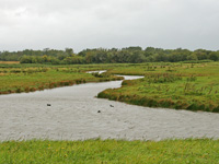 Domaine de Beaugillot polders