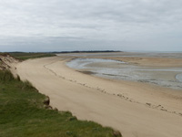 Coast south of the river mouth