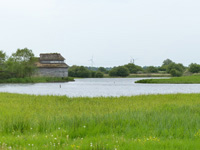 Lagoon and main hide