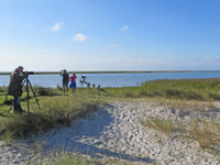 Falsterbo watchpoint, with lagoon beyond © Ken Hall