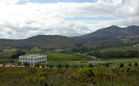Hamilton-Russell vineyard
