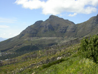 View of part of Table Mountain