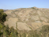 Hillsides near Casteltermini